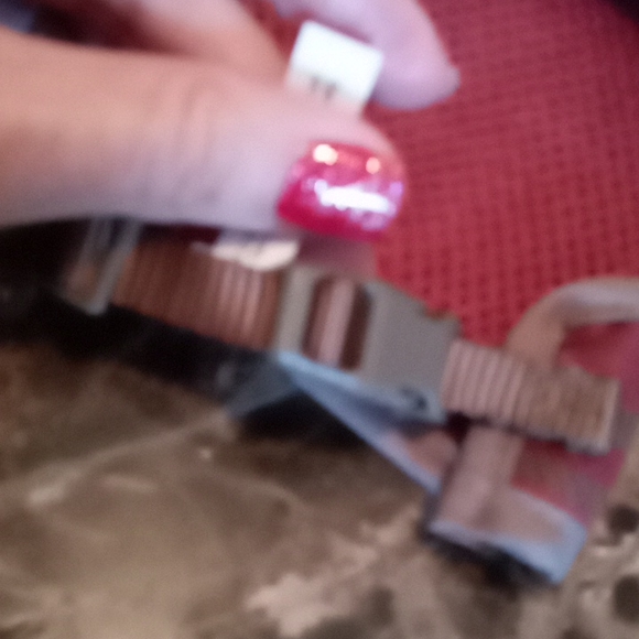 Pet Bundle - Picture 4 of 9